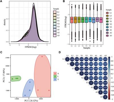 Comprehensive Transcriptome Sequencing Analysis of Hirudinaria manillensis in Different Growth Periods